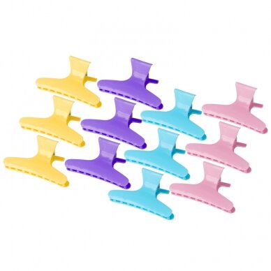 Spalvoti plaukų segtukai E-47 (12 vnt., 8,2 cm) Spalvoti plaukų segtukai E-47 (12 vnt., 8,2 cm)