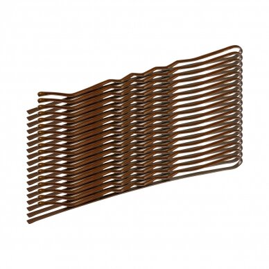 Segtukai plaukams E-64 50, 50 vnt. 1 Segtukai plaukams E-64 50, 50 vnt. 1