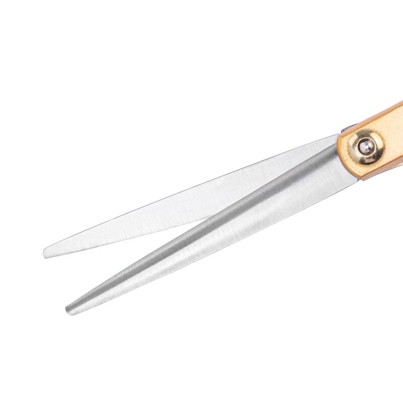 Profesionalios kirpėjo žirklės SNIPPEX GOLD 6.0 1 Profesionalios kirpėjo žirklės SNIPPEX GOLD 6.0 1