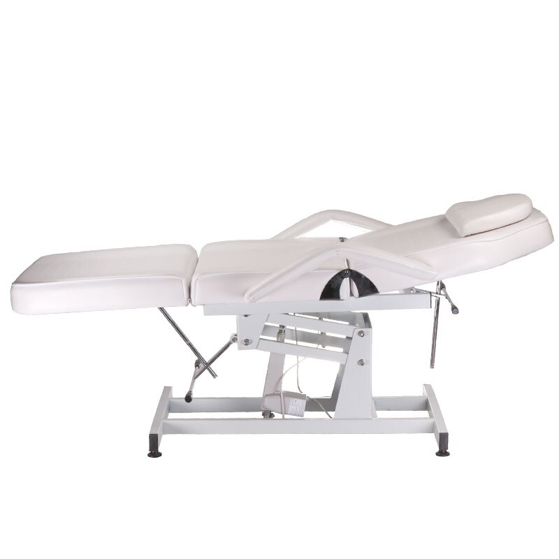 Profesionalus elektrinis gultas-lova kosmetologams BD-8251, 1 variklio, pieno spalvos 5 Profesionalus elektrinis gultas-lova kosmetologams BD-8251, 1 variklio, pieno spalvos 5