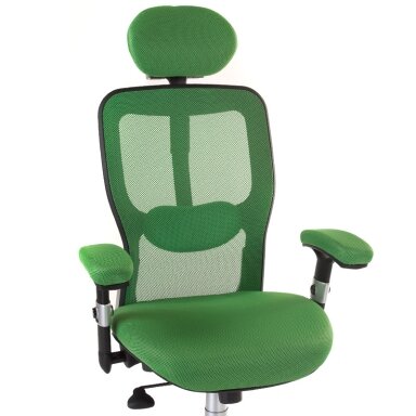 Registratūros, biuro kėdė CorpoComfort BX-4147, žalios spalvos