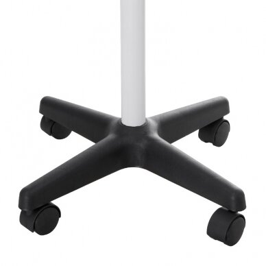 Profesionalus veido garinimo aparatas - vapozonas UV NG-FSM002 4 Profesionalus veido garinimo aparatas - vapozonas UV NG-FSM002 4