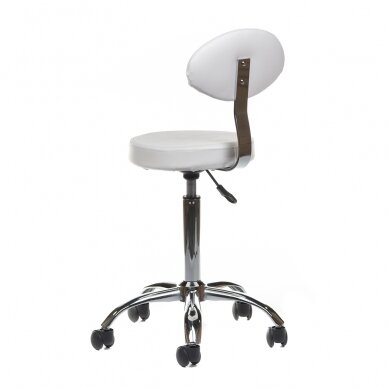 Profesionali meistro kėdė kosmetologams bei grožio salonams BH-7289, baltos spalvos 3