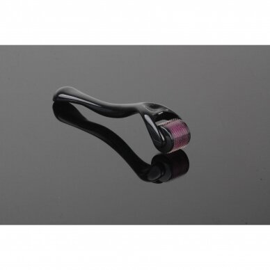 DERMA ROLLER mezoterapijai (1,00 mm) 540 plieno adatos SONOBELLA, 10 vnt. 3 DERMA ROLLER mezoterapijai (1,00 mm) 540 plieno adatos SONOBELLA, 10 vnt. 3