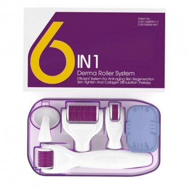 DERMA ROLLER rinkinys 6 in 1 mikroadatinėms veido procedūroms