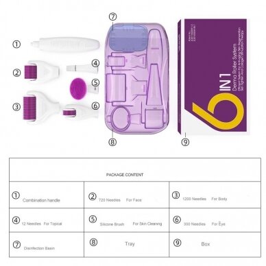 DERMA ROLLER rinkinys 6 in 1 mikroadatinėms veido procedūroms 2 DERMA ROLLER rinkinys 6 in 1 mikroadatinėms veido procedūroms 2