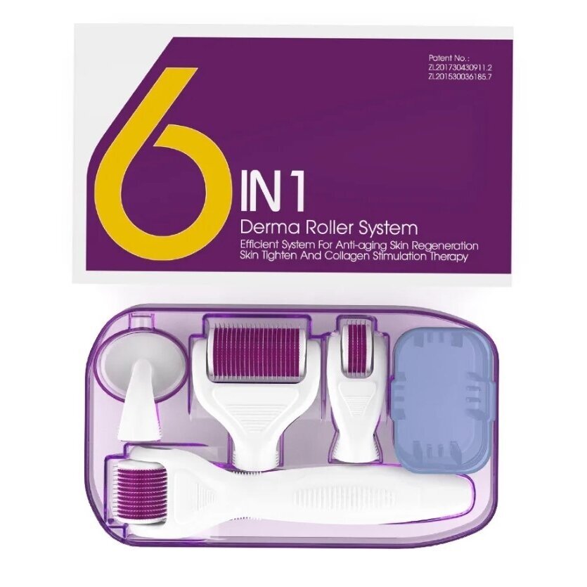 DERMA ROLLER rinkinys 6 in 1 mikroadatinėms veido procedūroms DERMA ROLLER rinkinys 6 in 1 mikroadatinėms veido procedūroms