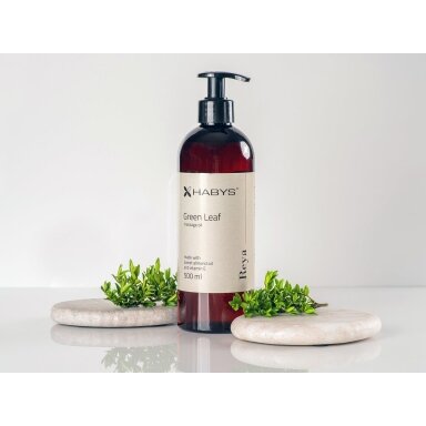 HABYS REYA Green Leaf kūno masažo aliejus su žaliąja arbata, migdolų aliejumi ir vitaminu E HABYS REYA Green Leaf kūno masažo aliejus su žaliąja arbata, migdolų aliejumi ir vitaminu E
