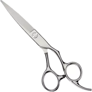Plaukų kirpimo žirklės su fiksuotu piršto žiedu ERGONOMIC 5.5, dešiniarankiams Plaukų kirpimo žirklės su fiksuotu piršto žiedu ERGONOMIC 5.5, dešiniarankiams