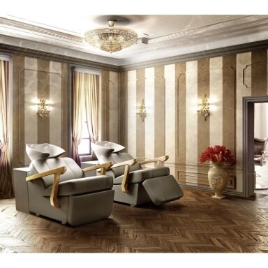 Profesionali plautuvė kirpykloms ir barberiams IMPERIAL