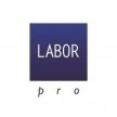 labor-pro-logo-1 labor-pro-logo-1