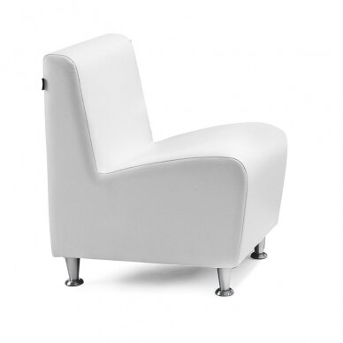 Laukiamojo kėdė grožio salonams REM ELEGANCE 1 Laukiamojo kėdė grožio salonams REM ELEGANCE 1