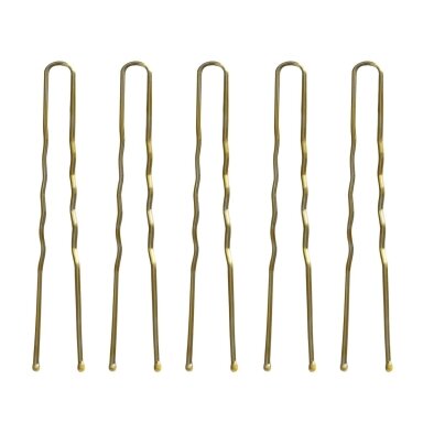 Plaukų segtukai šukuosenoms formuoti E-57 120 vnt. ( 5,6 cm ) Plaukų segtukai šukuosenoms formuoti E-57 120 vnt. ( 5,6 cm )