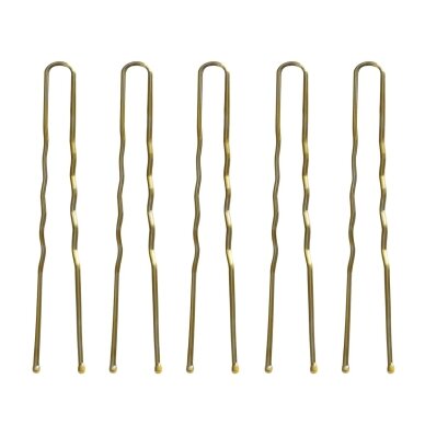 Plaukų segtukai šukuosenoms formuoti E-57 120 vnt. ( 5,6 cm ) 1 Plaukų segtukai šukuosenoms formuoti E-57 120 vnt. ( 5,6 cm ) 1