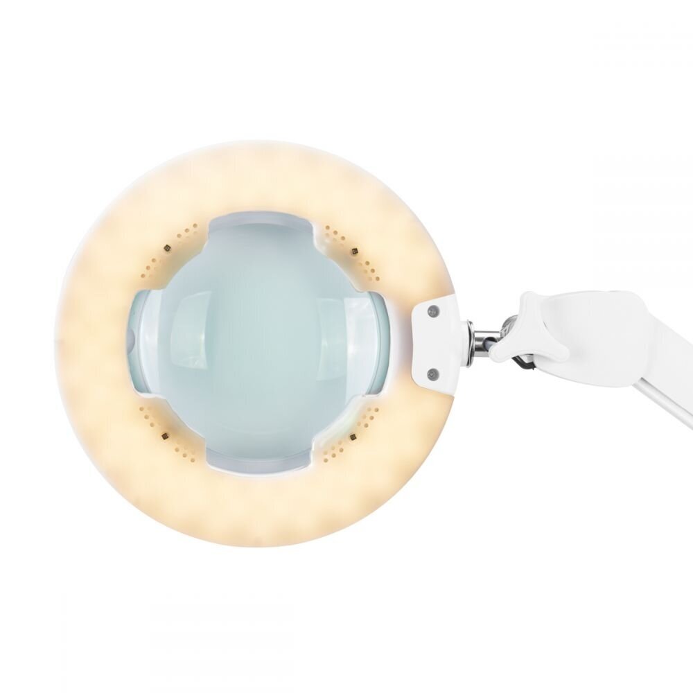 Profesionali kosmetologinė lempa-lupa tvirtinama prie stalo su šviesios reguliavimu LED GLOW 8021 6 Profesionali kosmetologinė lempa-lupa tvirtinama prie stalo su šviesios reguliavimu LED GLOW 8021 6