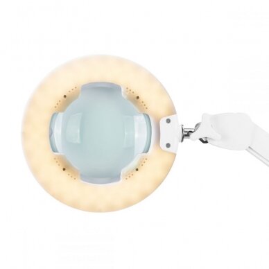 Profesionali kosmetologinė lempa-lupa tvirtinama prie stalo su šviesios reguliavimu LED GLOW 8021 6 Profesionali kosmetologinė lempa-lupa tvirtinama prie stalo su šviesios reguliavimu LED GLOW 8021 6