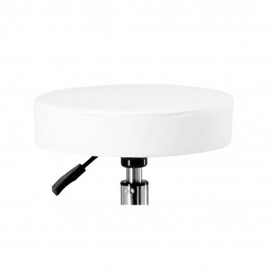 Profesionali meistro kėdė CALISSIMO SD-Y14-WHITE 2 Profesionali meistro kėdė CALISSIMO SD-Y14-WHITE 2