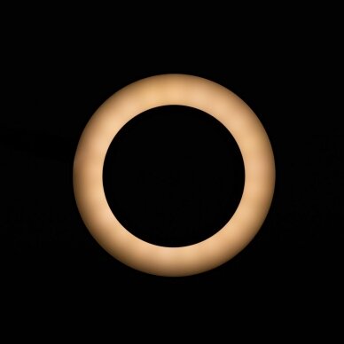 Stalinė LED SNAKE RING lempa, tvirtinama prie stalo 3 Stalinė LED SNAKE RING lempa, tvirtinama prie stalo 3
