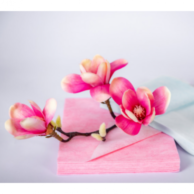 Vienkartiniai rankšluosčiai veido nuvalymui po procedūrų SOFT ir SCRUB VELVET, 20*25 cm, 50 vnt. Vienkartiniai rankšluosčiai veido nuvalymui po procedūrų SOFT ir SCRUB VELVET, 20*25 cm, 50 vnt.